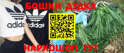 гашик Ливны