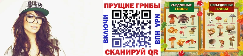где продают   Губаха  ОМГ ОМГ   Галлюциногенные грибы мухоморы 