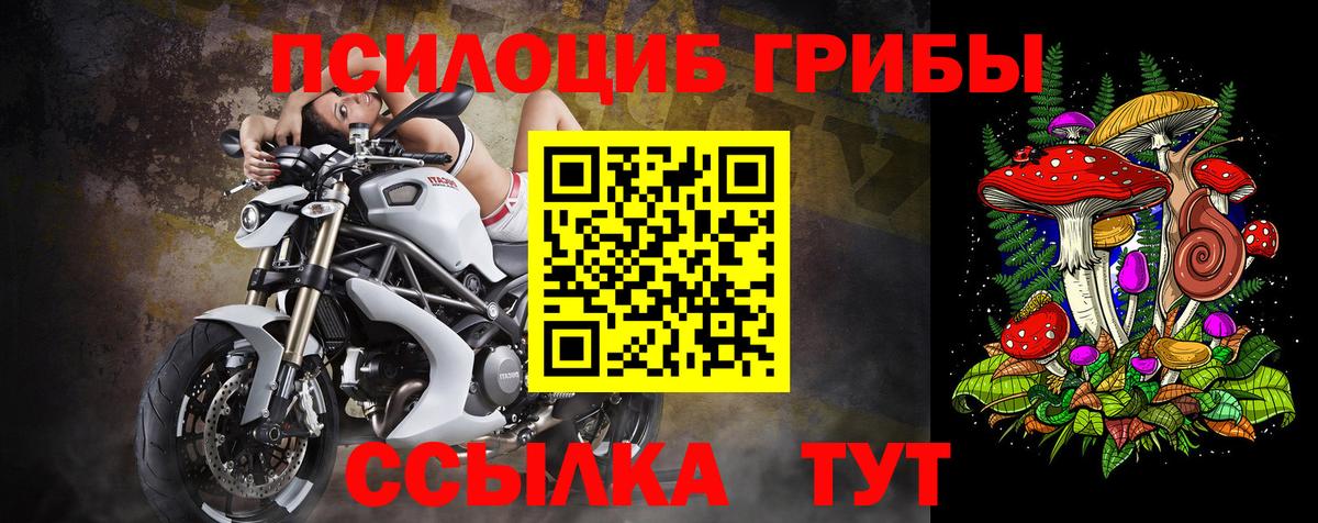 Псилоцибиновые грибы прущие грибы  Галлюциногенные грибы мицелий  Вход с VPN  Губаха 
