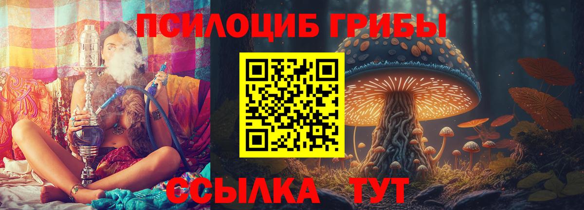 Псилоцибиновые грибы Cubensis Губаха